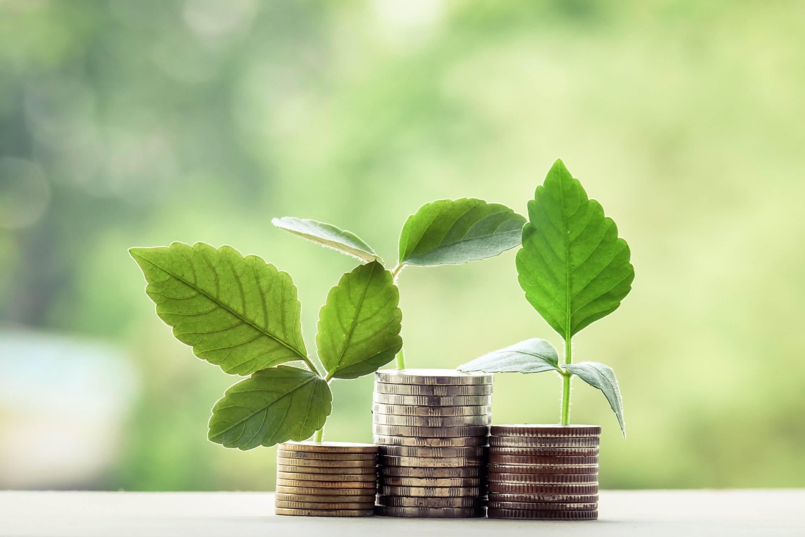 Charity and Not for Profit eNews