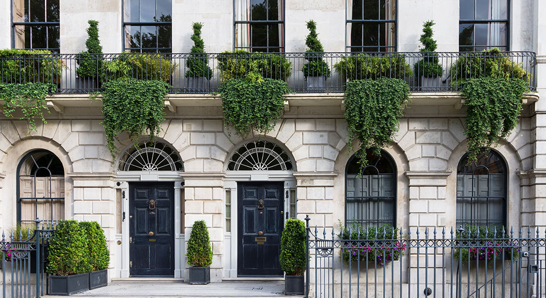 Luxurious white building home with plants overhanging